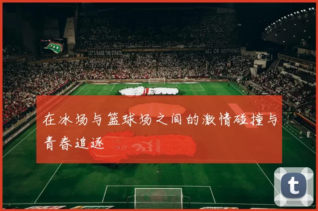 在冰场与篮球场之间的激情碰撞与青春追逐