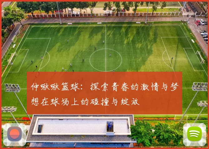 仲啾啾篮球：探索青春的激情与梦想在球场上的碰撞与绽放