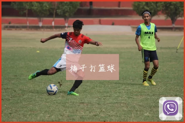 梅子打篮球